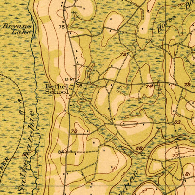 United States Geological Survey Cummings, SC (1919, 62500-Scale) digital map