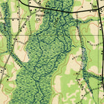 United States Geological Survey Cummings, SC (1943, 62500-Scale) digital map