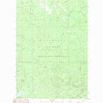 United States Geological Survey Cup Lake, MI (1982, 25000-Scale) digital map