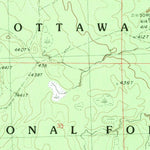 United States Geological Survey Cup Lake, MI (1982, 25000-Scale) digital map