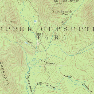 United States Geological Survey Cupsuptic, ME (1931, 62500-Scale) digital map