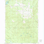 United States Geological Survey Curran, MI (1972, 24000-Scale) digital map