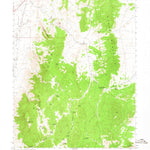 United States Geological Survey Currant Mountain, NV (1964, 62500-Scale) digital map