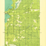 United States Geological Survey Curtis East, MI (1931, 31680-Scale) digital map