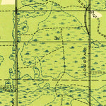 United States Geological Survey Curtis East, MI (1931, 31680-Scale) digital map