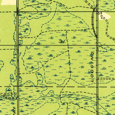 United States Geological Survey Curtis East, MI (1931, 31680-Scale) digital map