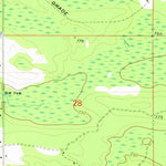 United States Geological Survey Curtis East, MI (1973, 24000-Scale) digital map