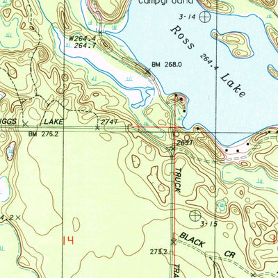 United States Geological Survey Cusino, MI (1983, 24000-Scale) digital map