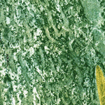 United States Geological Survey Custard Apple Hammock, FL (1973, 24000-Scale) digital map
