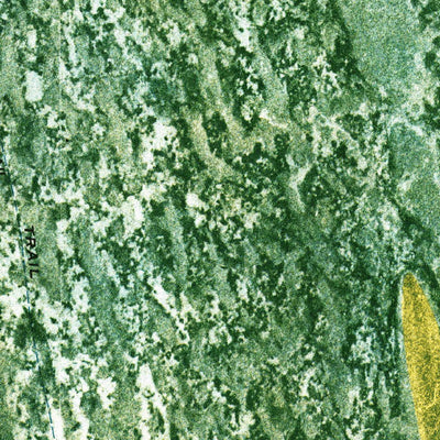 United States Geological Survey Custard Apple Hammock, FL (1973, 24000-Scale) digital map