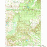 United States Geological Survey Custer, MI (1959, 62500-Scale) digital map