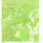 United States Geological Survey Cutting Pen Draw, TX (1974, 24000-Scale) digital map