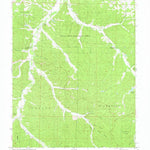 United States Geological Survey Cyclone Hollow, MO (1981, 24000-Scale) digital map