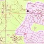 United States Geological Survey Dafter, MI (1951, 24000-Scale) digital map