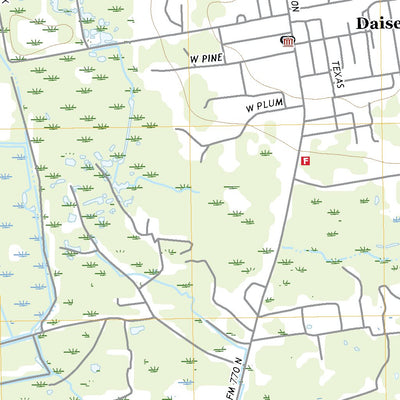 United States Geological Survey Daisetta, TX (2022, 24000-Scale) digital map