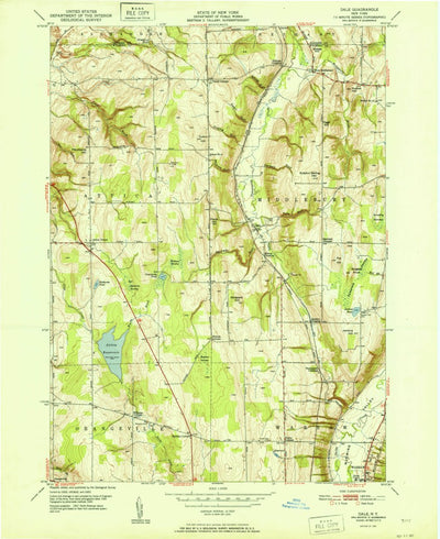 United States Geological Survey Dale, NY (1951, 24000-Scale) digital map
