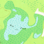 United States Geological Survey Damascus, GA (1974, 24000-Scale) digital map