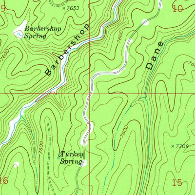 United States Geological Survey Dane Canyon, AZ (1972, 24000-Scale) digital map