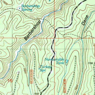 United States Geological Survey Dane Canyon, AZ (2004, 24000-Scale) digital map