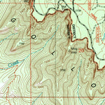 United States Geological Survey Dane Canyon, AZ (2004, 24000-Scale) digital map