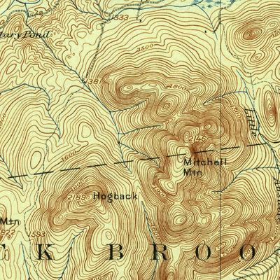 United States Geological Survey Dannemora, NY (1913, 62500-Scale) digital map