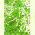 United States Geological Survey Dannemora, NY (1956, 62500-Scale) digital map