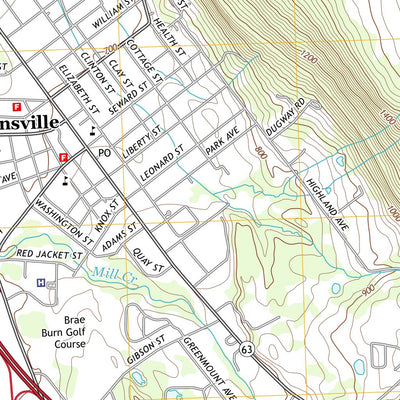 United States Geological Survey Dansville, NY (2013, 24000-Scale) digital map