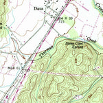 United States Geological Survey Daus, TN (1946, 24000-Scale) digital map
