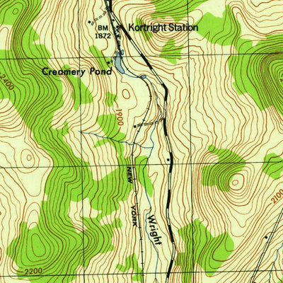 United States Geological Survey Davenport, NY (1945, 31680-Scale) digital map