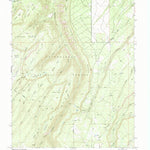United States Geological Survey Davis Point, CO (1994, 24000-Scale) digital map