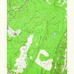 United States Geological Survey Davis, WV-MD (1919, 62500-Scale) digital map