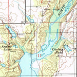 United States Geological Survey De Witt, IL (1999, 24000-Scale) digital map