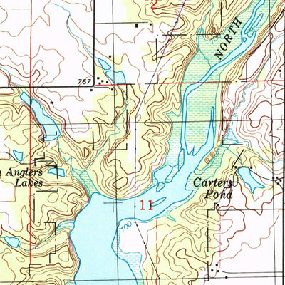 United States Geological Survey De Witt, IL (1999, 24000-Scale) digital map