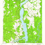 United States Geological Survey Dead Lakes, FL (1945, 24000-Scale) digital map