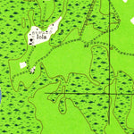 United States Geological Survey Dead Lakes, FL (1945, 24000-Scale) digital map