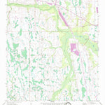 United States Geological Survey Deer Park, FL (1953, 24000-Scale) digital map