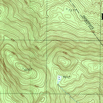 United States Geological Survey Deerland, NY (1989, 25000-Scale) digital map