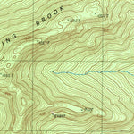 United States Geological Survey Deerland, NY (1997, 25000-Scale) digital map