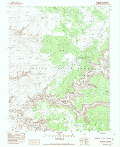 United States Geological Survey Del Muerto, AZ (1982, 24000-Scale) digital map