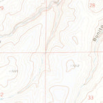 United States Geological Survey Delagua, CO (1971, 24000-Scale) digital map