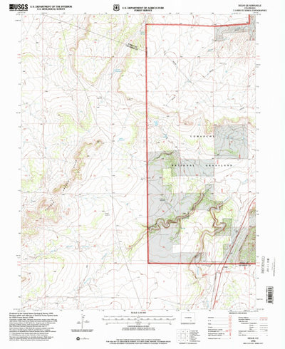 United States Geological Survey Delhi, CO (1996, 24000-Scale) digital map