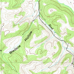 United States Geological Survey Dellrose, TN (1948, 24000-Scale) digital map