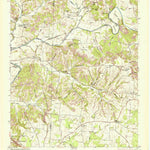 United States Geological Survey Dellrose, TN (1951, 24000-Scale) digital map