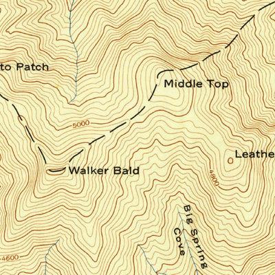 United States Geological Survey Dellwood, NC (1941, 24000-Scale) digital map