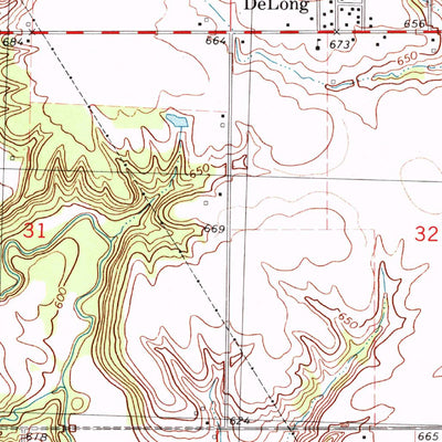United States Geological Survey Delong, IL (1998, 24000-Scale) digital map