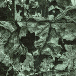 United States Geological Survey Delta, AL (1975, 24000-Scale) digital map