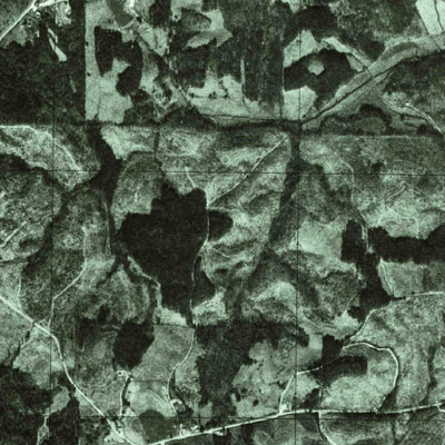 United States Geological Survey Delta, AL (1975, 24000-Scale) digital map