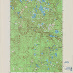 United States Geological Survey Delta, WI (1971, 24000-Scale) digital map