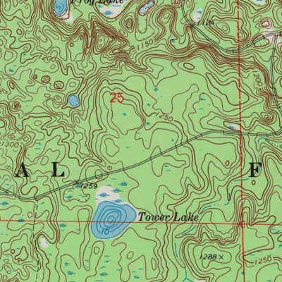 United States Geological Survey Delta, WI (1971, 24000-Scale) digital map