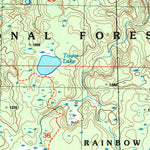 United States Geological Survey Delta, WI (2005, 24000-Scale) digital map